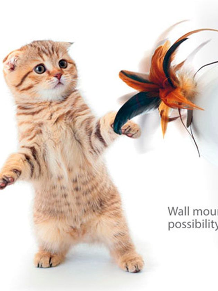 GIGWI PET DROID FATHER HIDER 2