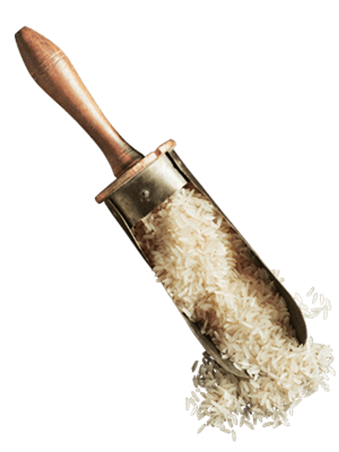 BELCANDO IBERICO RICE ADULTO M/XL 4 KG 2