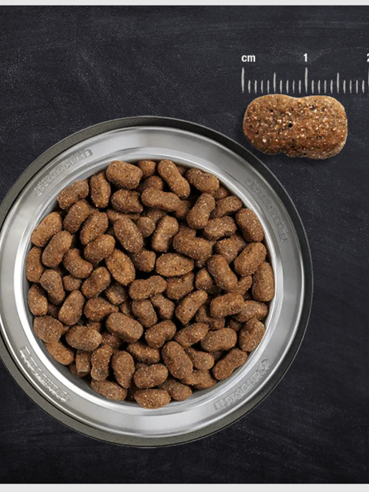 BELCANDO IBERICO RICE ADULTO M/XL 4 KG 5