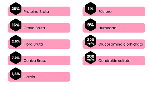 AMITY PERRO ADULTO BAJO EN GRANOS POLLO 14 KG