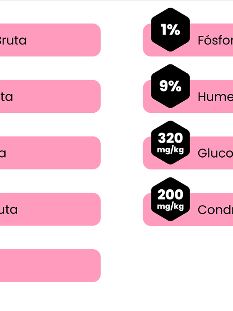 AMITY PERRO ADULTO BAJO EN GRANOS POLLO 14 KG 2