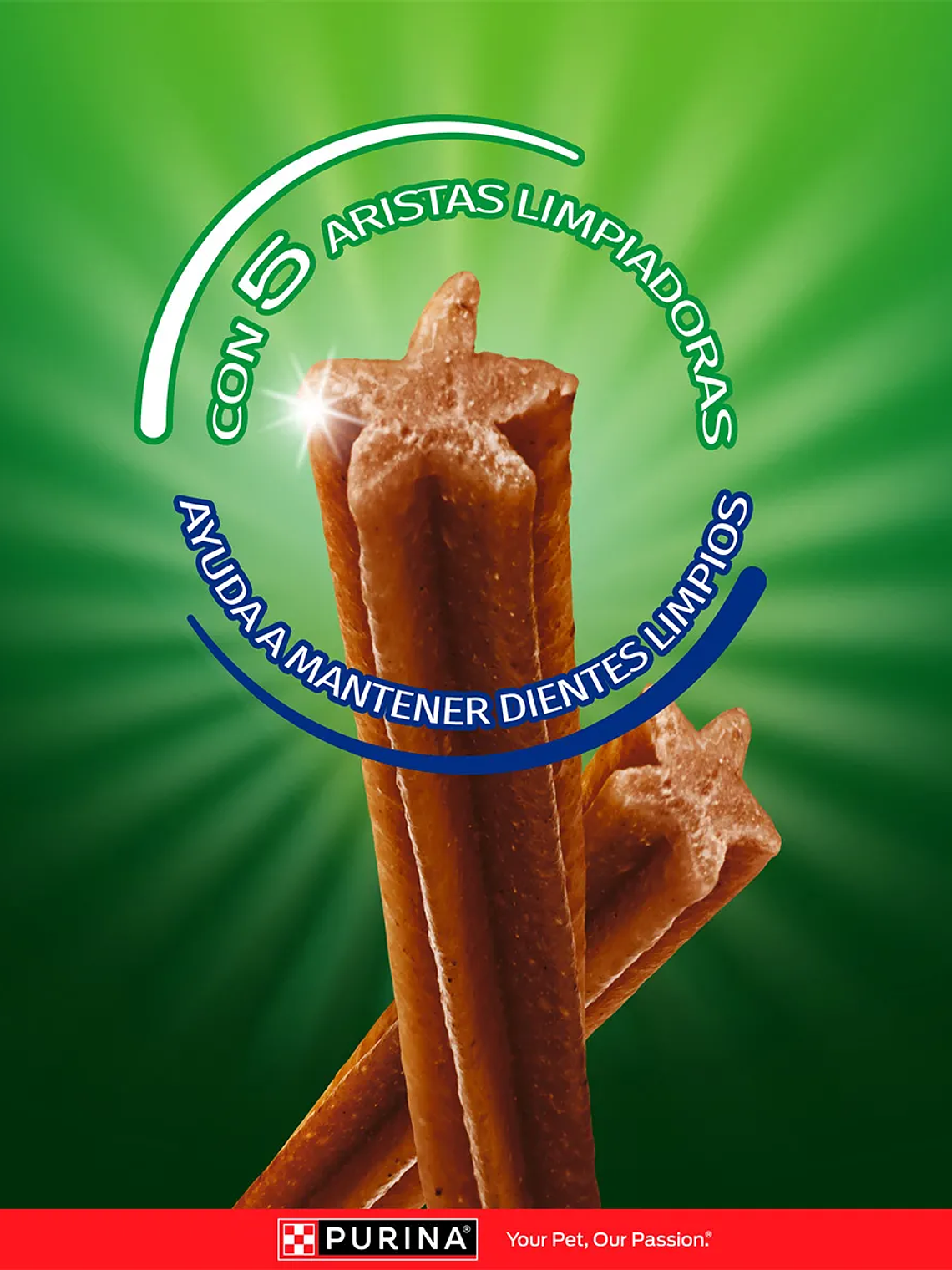 DOG CHOW SALUD ORAL ADULTOS MEDIANOS Y GRANDES 4