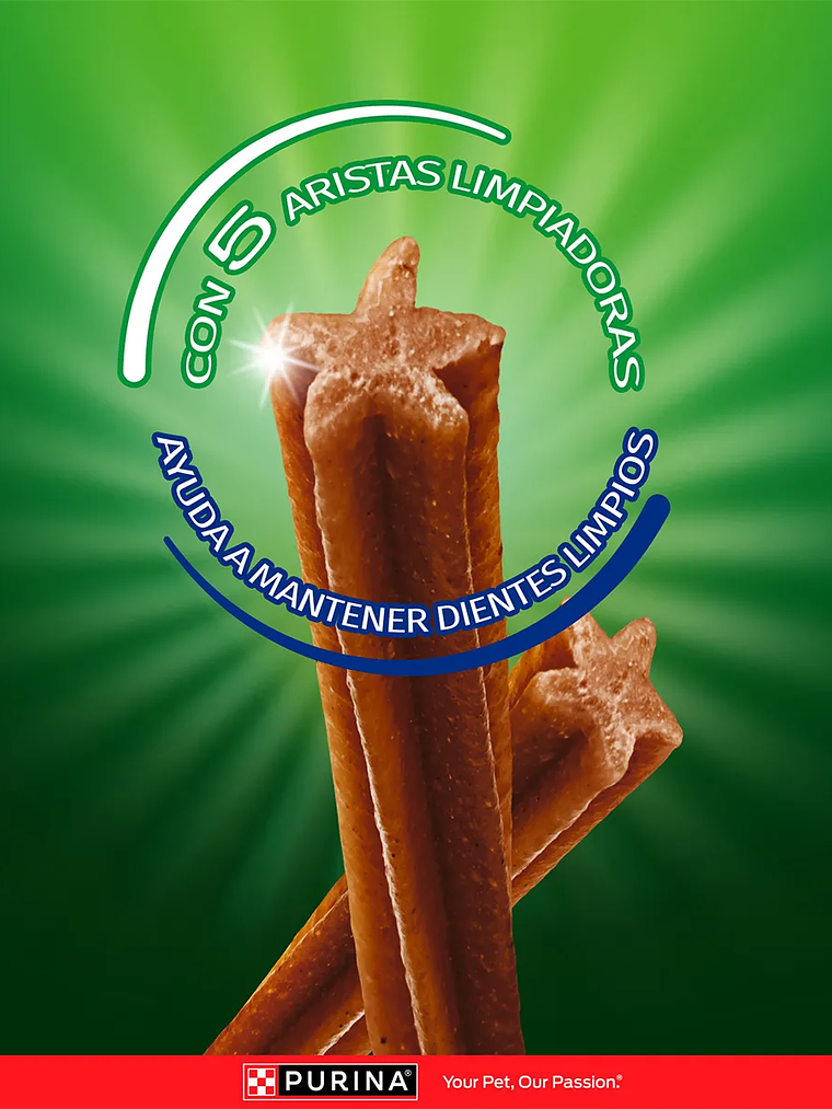 DOG CHOW SALUD ORAL ADULTOS MEDIANOS Y GRANDES 4