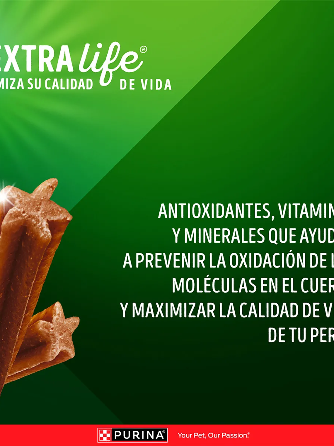 DOG CHOW SALUD ORAL ADULTOS MEDIANOS Y GRANDES 6