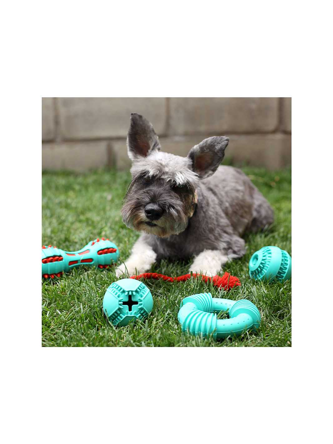 BRNX JUGUETE PELOTA/CUERDA DISPENSADOR DE PREMIOS GOMA 2