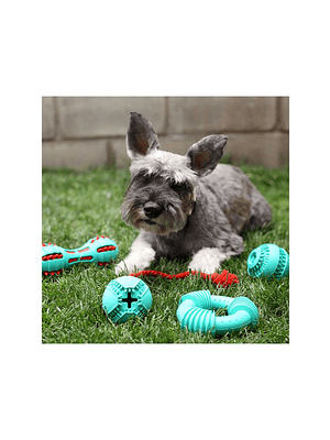 BRNX JUGUETE PELOTA/CUERDA DISPENSADOR DE PREMIOS GOMA