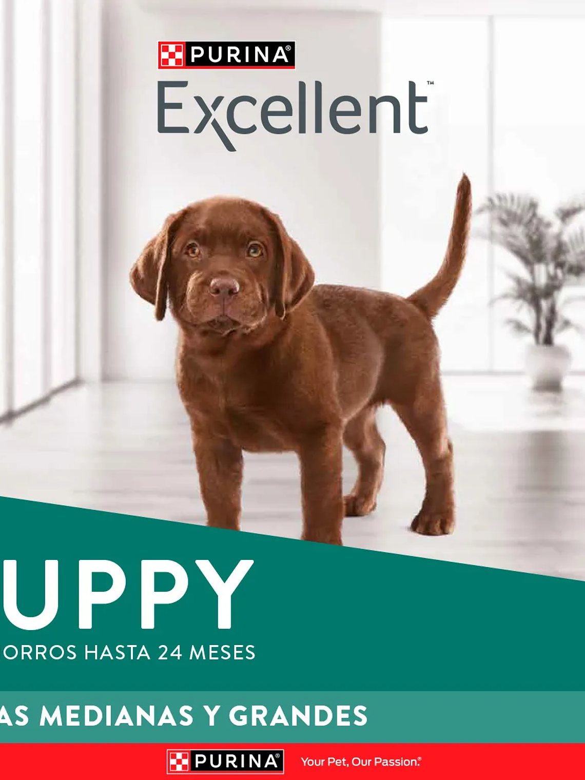 EXCELLENT CACHORRO RAZA MEDIANA/ GRANDE 15 KG 4