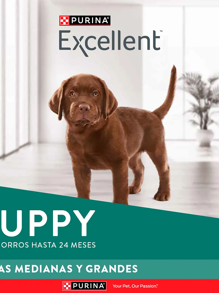 EXCELLENT CACHORRO RAZA MEDIANA/ GRANDE 15 KG 4