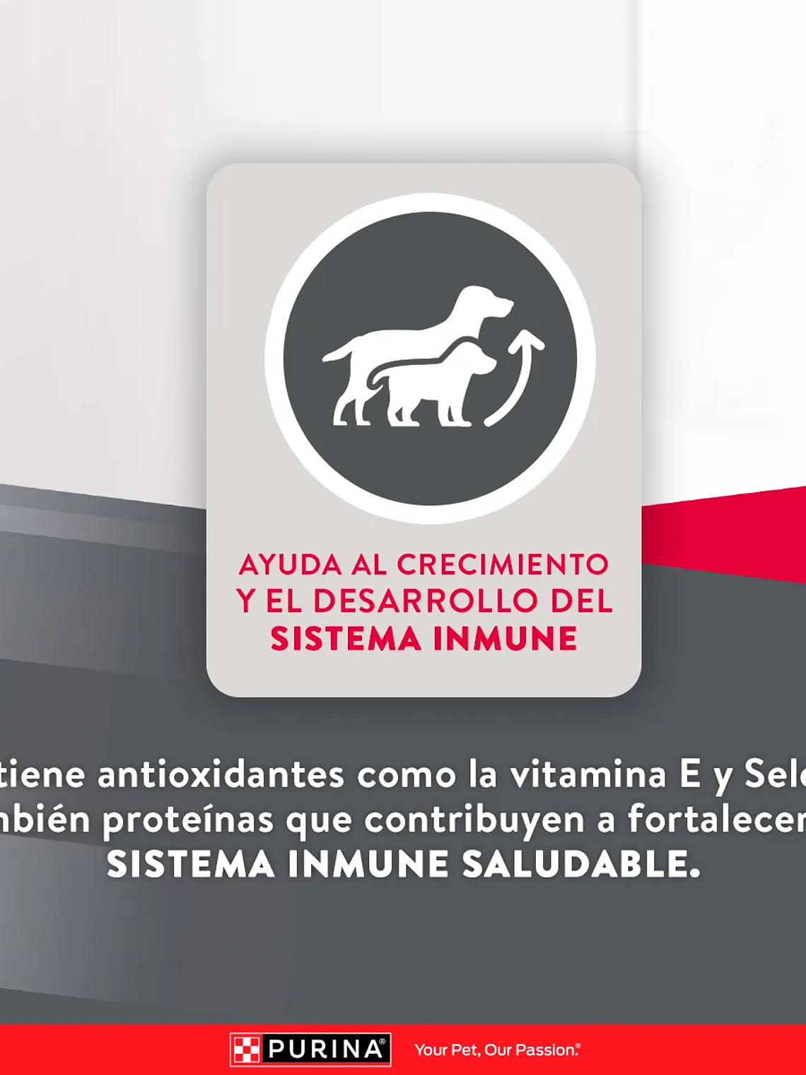 EXCELLENT CACHORRO RAZA MEDIANA/ GRANDE 15 KG 7