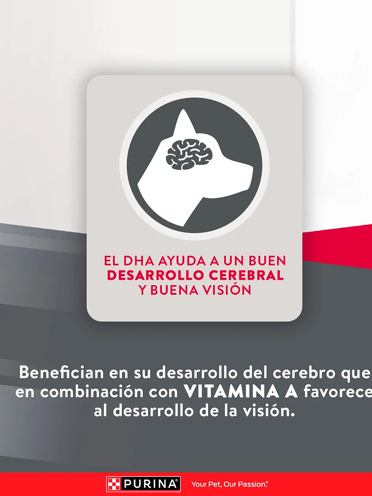 EXCELLENT CACHORRO RAZA MEDIANA/ GRANDE 15 KG 8