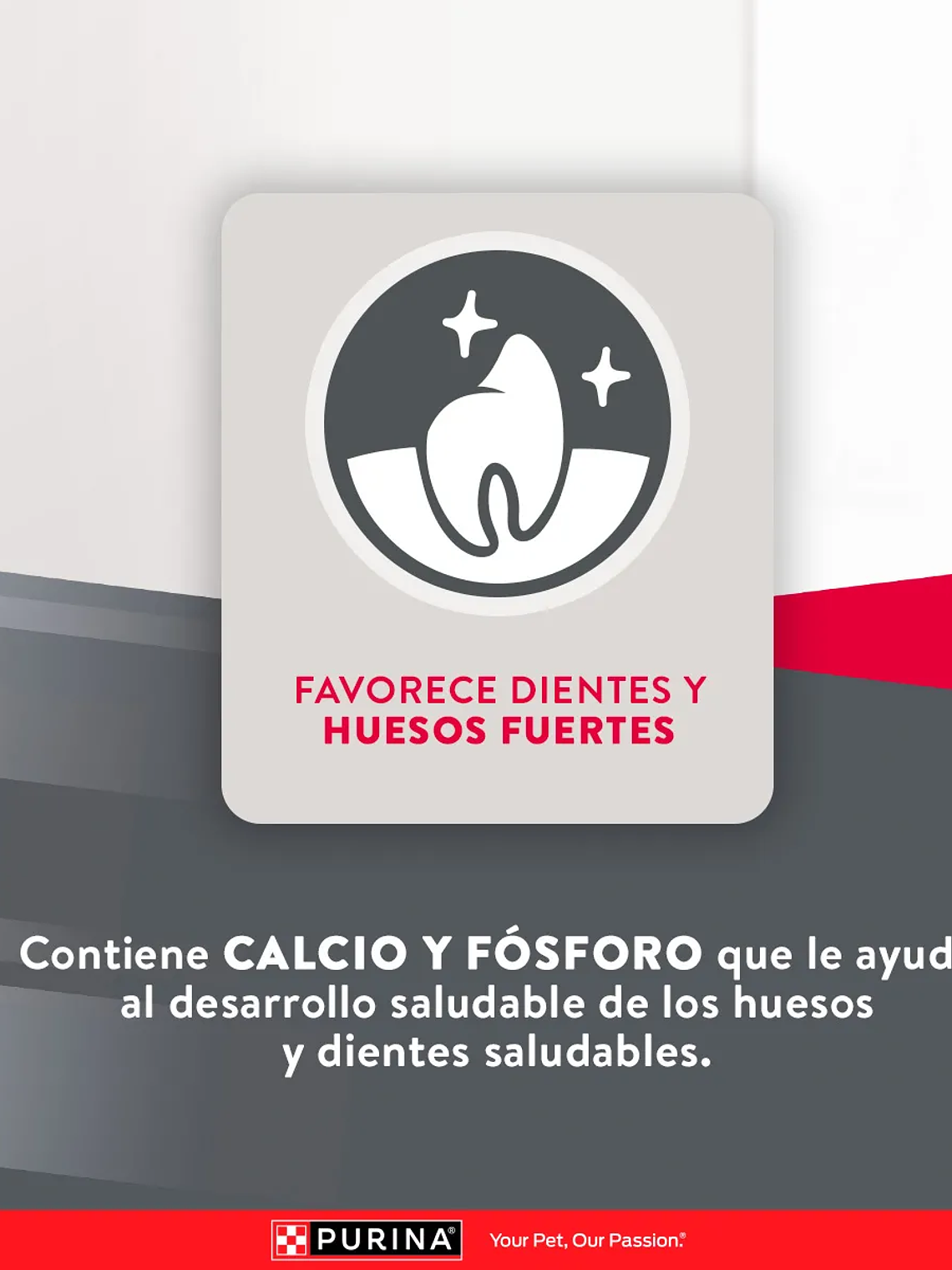 EXCELLENT CACHORRO RAZA MEDIANA/ GRANDE 15 KG 9