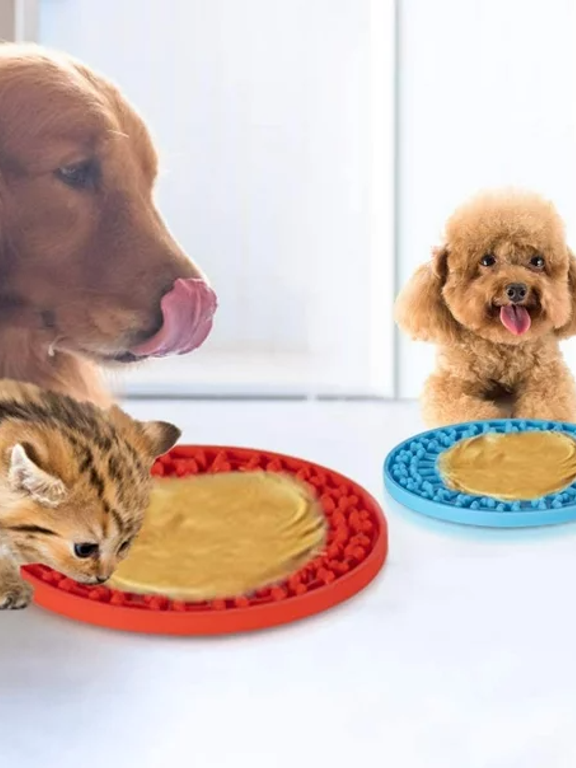 ALIMENTADOR LENTO PARA PERROS / GATOS  REDONDO 2