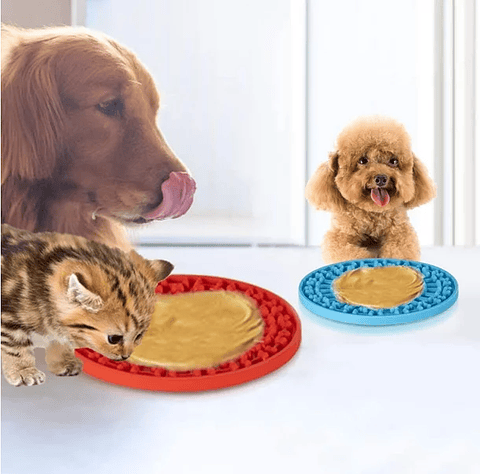 ALIMENTADOR LENTO PARA PERROS / GATOS  REDONDO