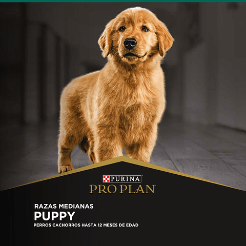 PROPLAN PUPPY RAZA MEDIANA 3 KG