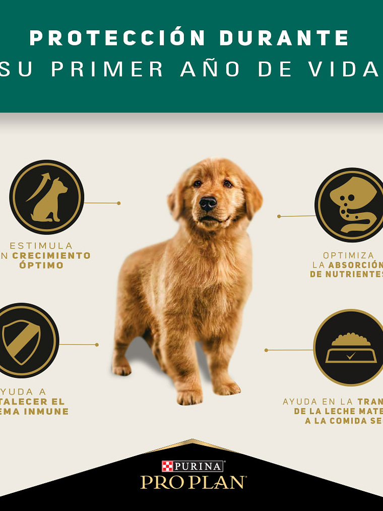 PROPLAN PUPPY RAZA MEDIANA 3 KG 5