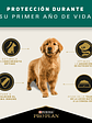 PROPLAN PUPPY RAZA MEDIANA 3 KG - Miniatura 5