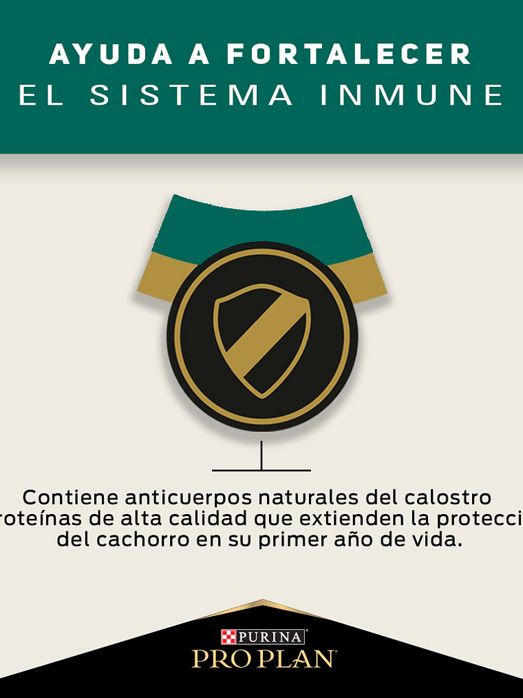 PROPLAN PUPPY RAZA MEDIANA 3 KG 6