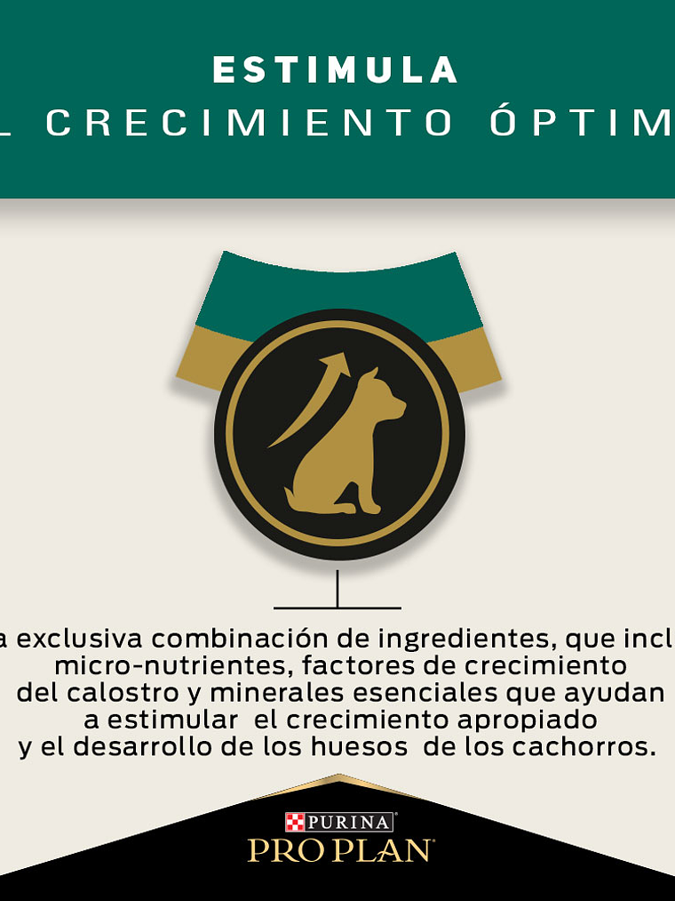 PROPLAN PUPPY RAZA MEDIANA 3 KG 7