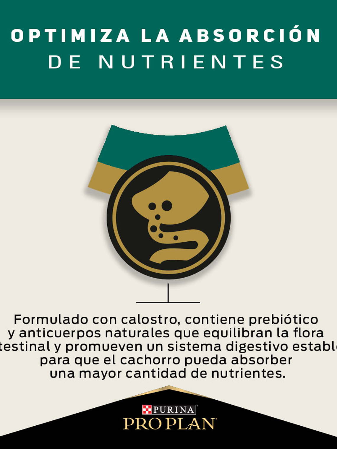 PROPLAN PUPPY RAZA MEDIANA 3 KG 8