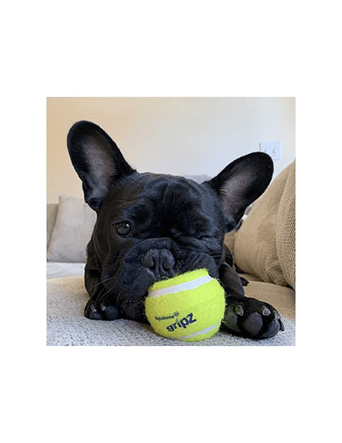 NYLABONE POWER PLAY PELOTAS ANATÓMICAS 3 UNIDADES S