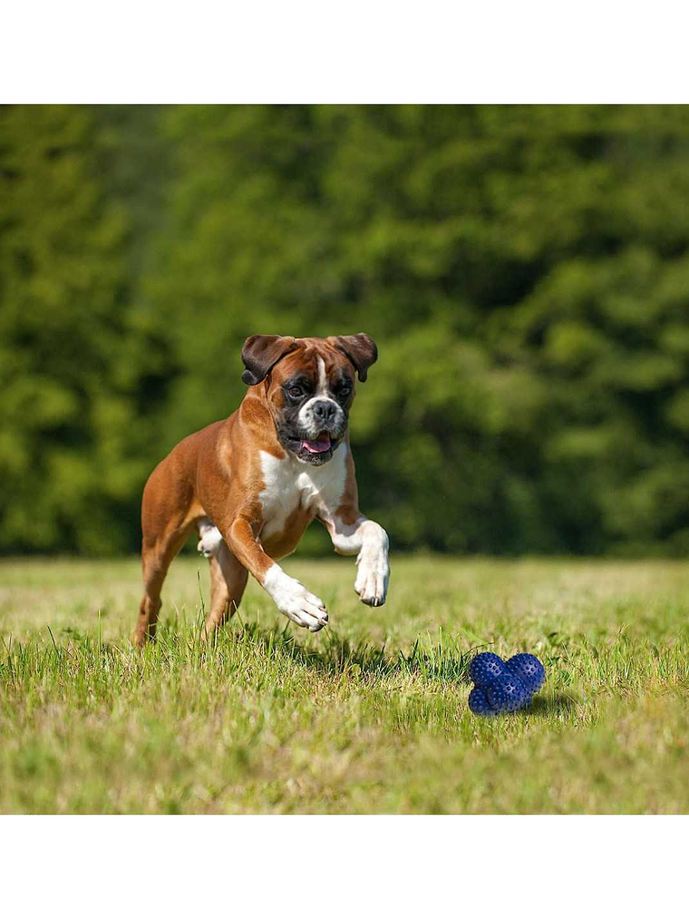 NYLABONE POWER PLAY LANZADOR DE GOMA CRAZY BALL TALLA L 4