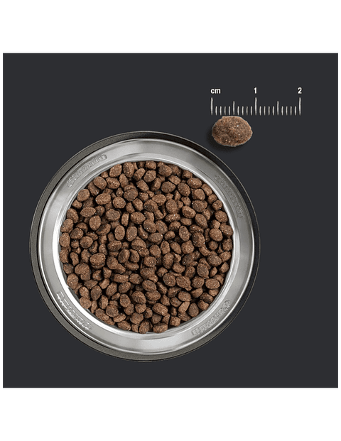 BELCANDO PUPPY GRAIN FREE POULTRY 4 KG