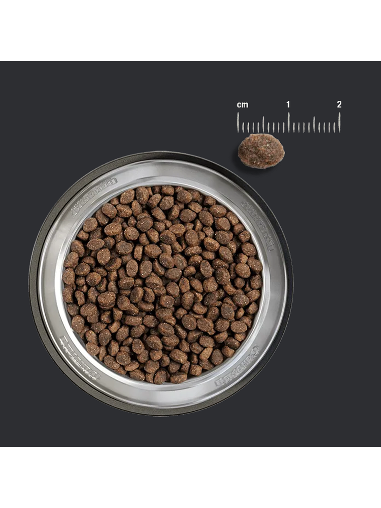 BELCANDO PUPPY GRAIN FREE POULTRY 4 KG 2