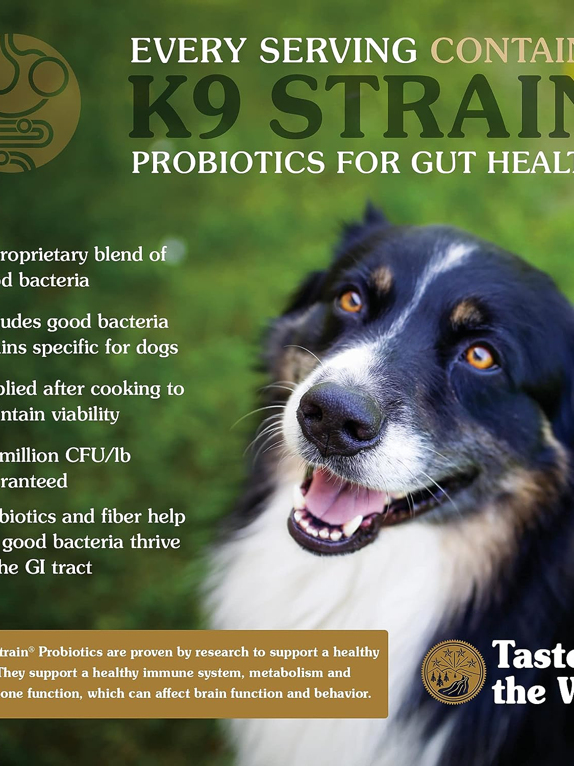 TASTE OF THE WILD PERRO ANCIENT GRAINS TRAIRIE ( BISONTE ) 12,7 KG 6