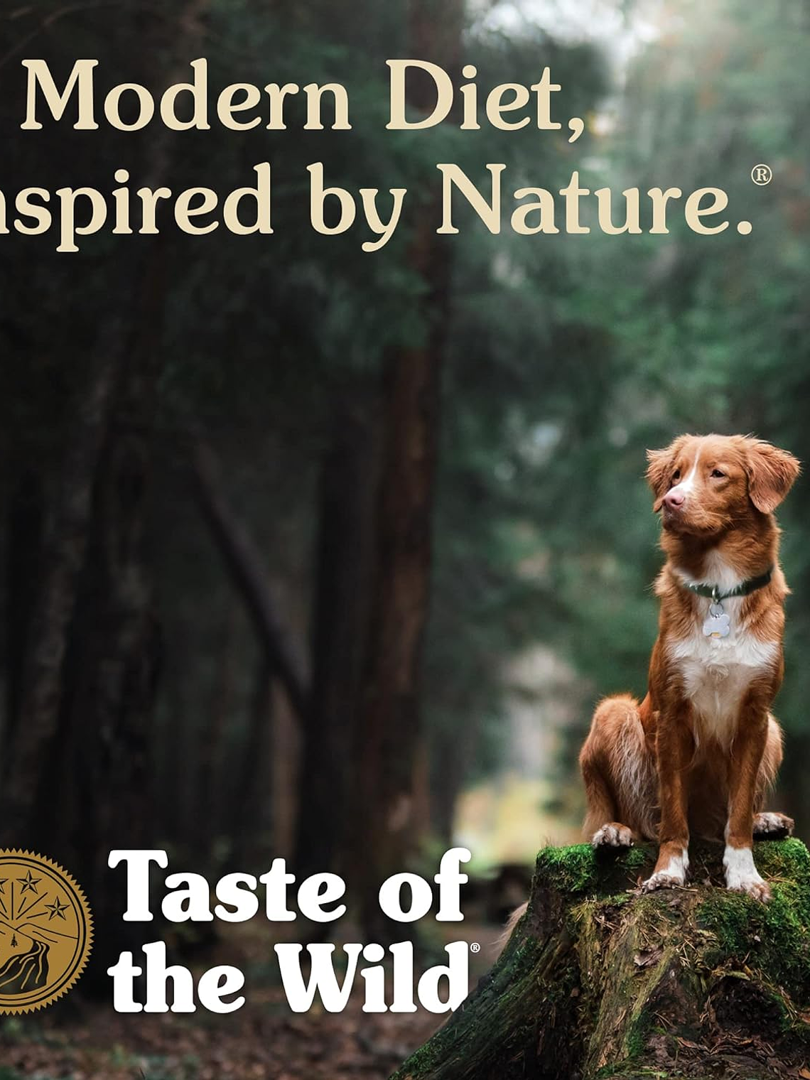 TASTE OF THE WILD PERRO ANCIENT GRAINS TRAIRIE ( BISONTE ) 12,7 KG 7