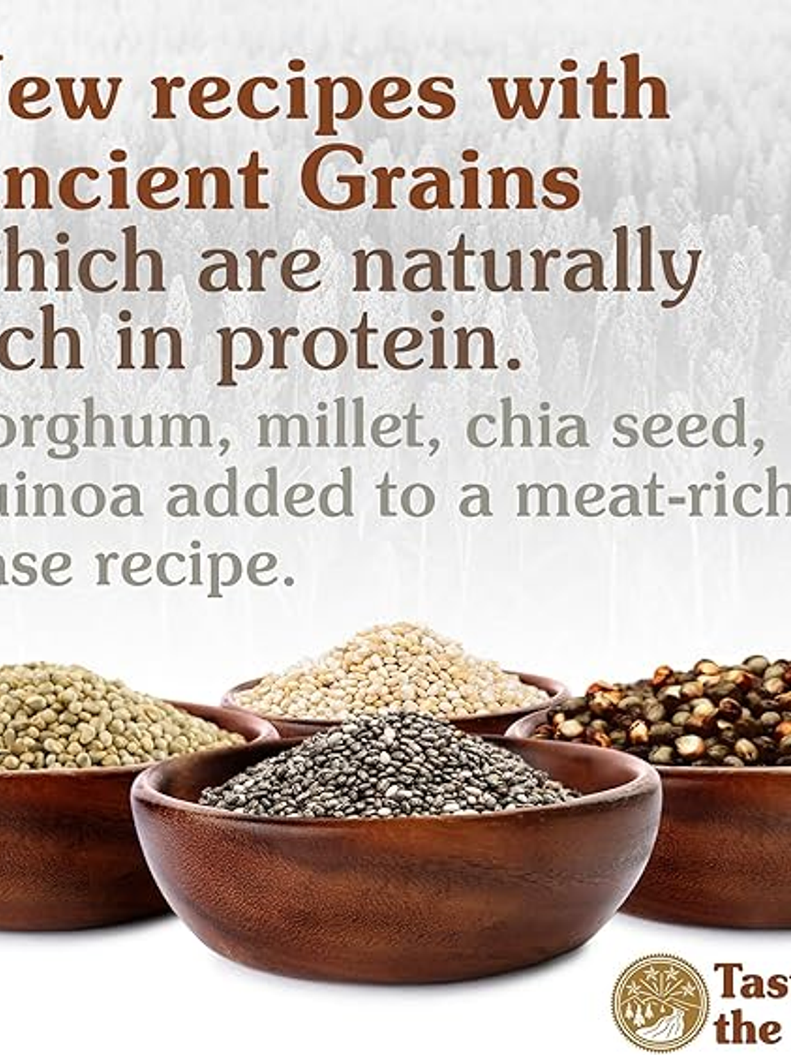 TASTE OF THE WILD PERRO ANCIENT GRAINS WETLANDS (PATO) 12.7 KG 5