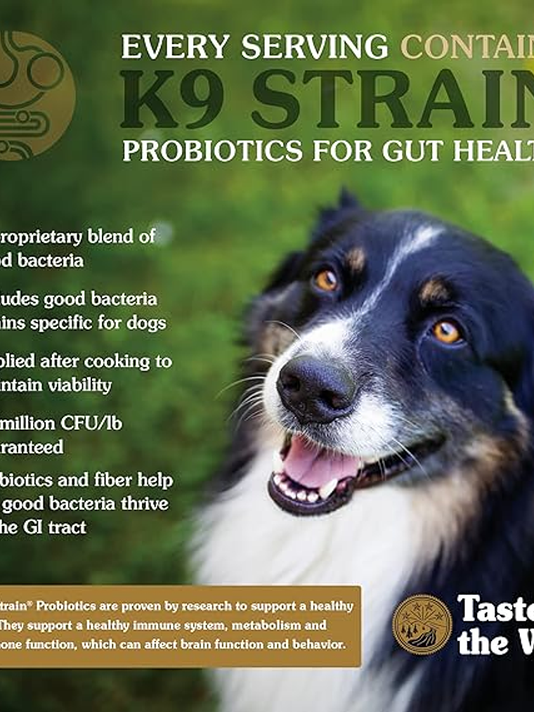 TASTE OF THE WILD PERRO ANCIENT GRAINS WETLANDS (PATO) 12.7 KG 6