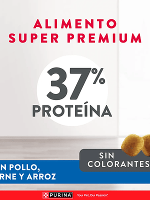 PURINA® EXCELLENT™ Kitten