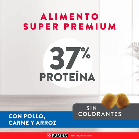 PURINA® EXCELLENT™ Kitten