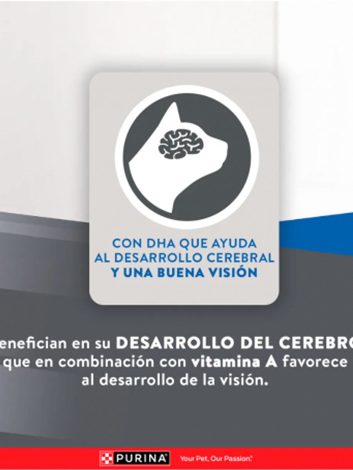 PURINA® EXCELLENT™ Kitten 4