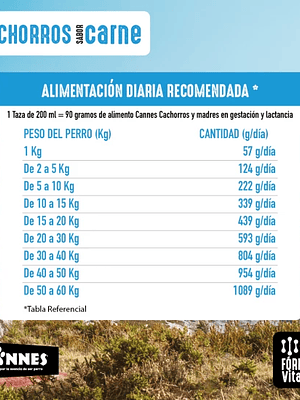 CANNES CACHORROS SABOR CARNE 18 KG