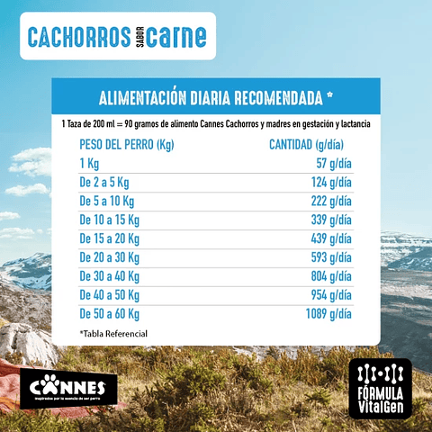 CANNES CACHORROS SABOR CARNE 18 KG