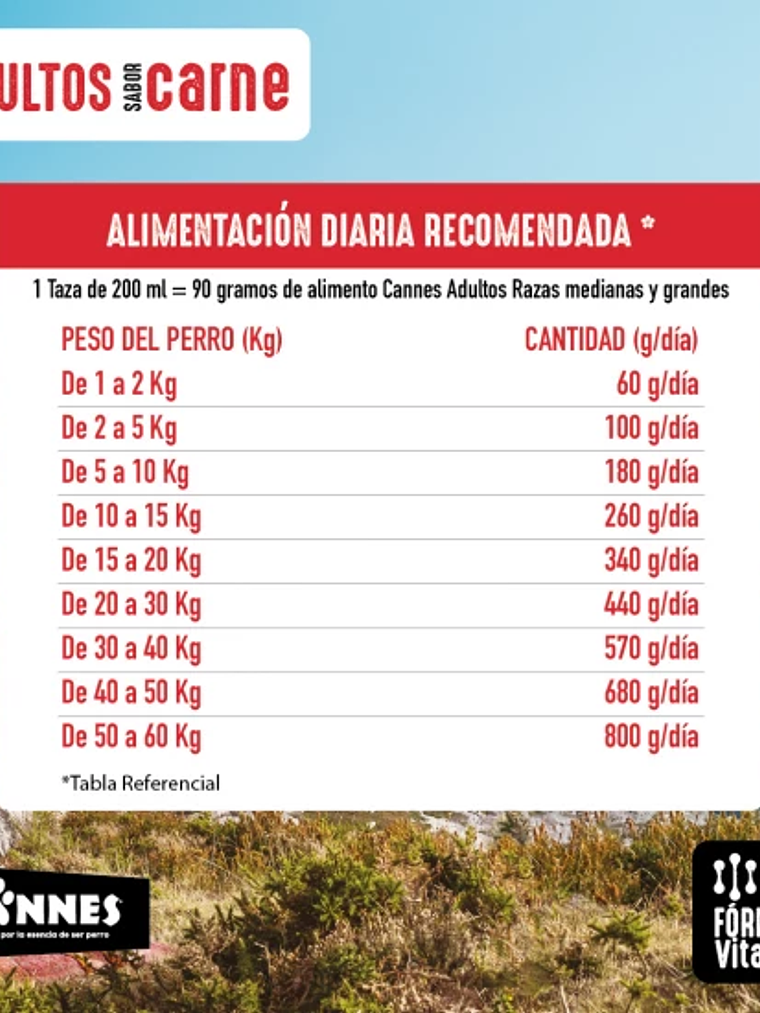 CANNES ADULTO SABOR CARNE 18 KG 2