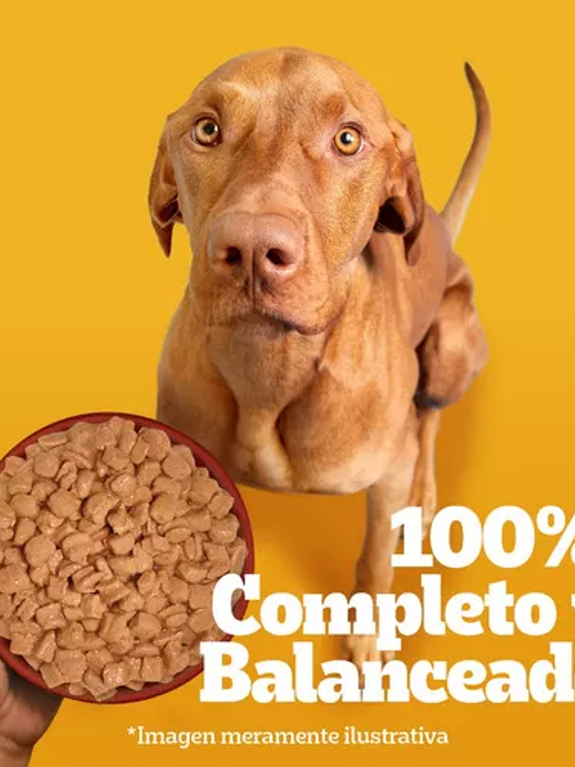 Pedigree alimento húmedo sobrecito perro adulto Pollo 12 unidades 5