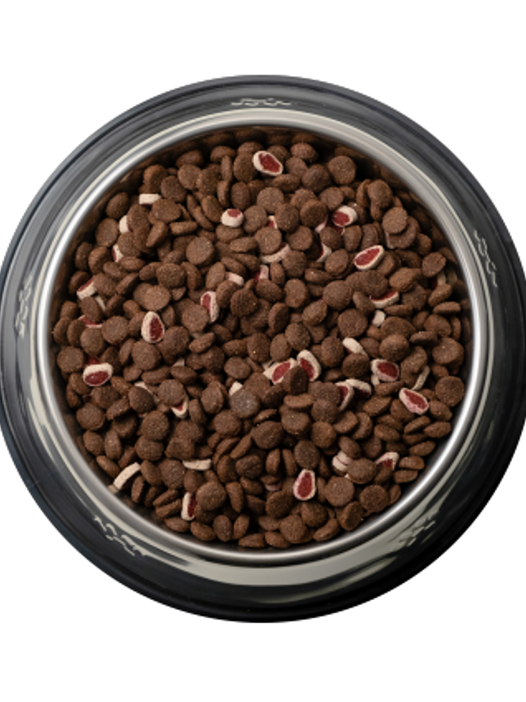 Can Adulto  Cordero & Arroz 18 Kg 3