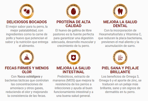 Can Adulto  Cordero & Arroz 18 Kg