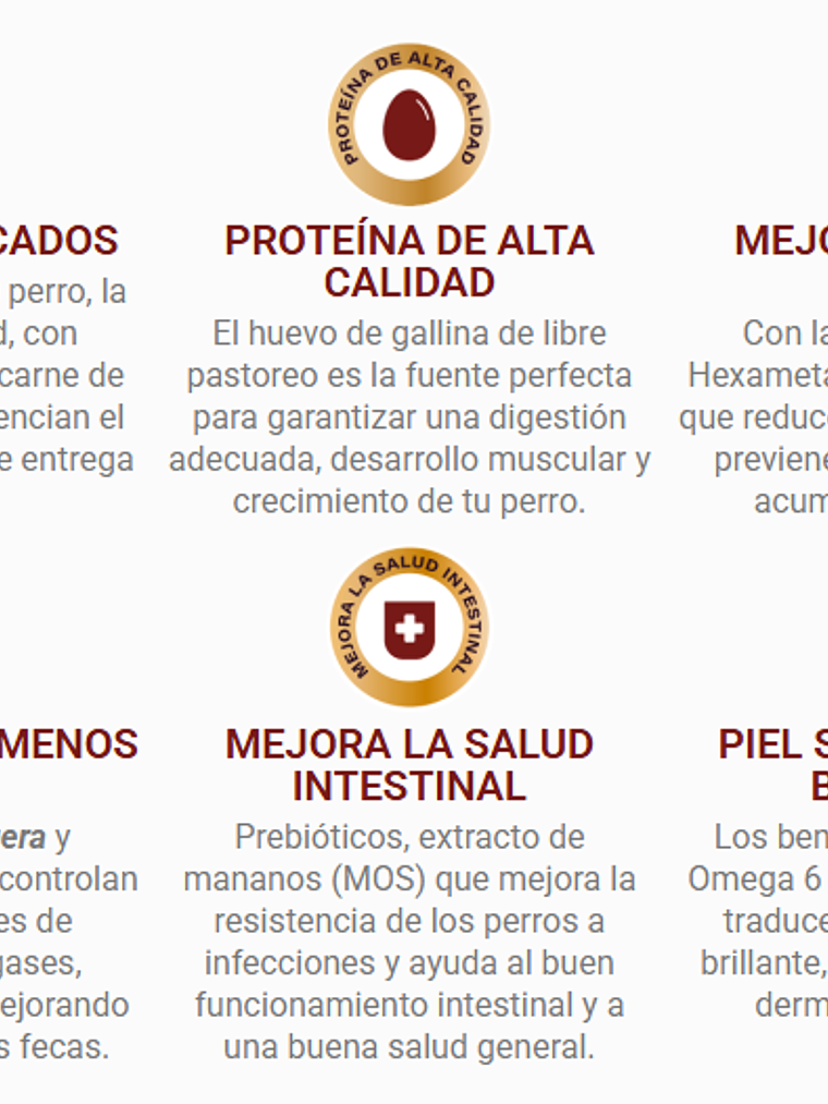 Can Adulto  Cordero & Arroz 18 Kg 2