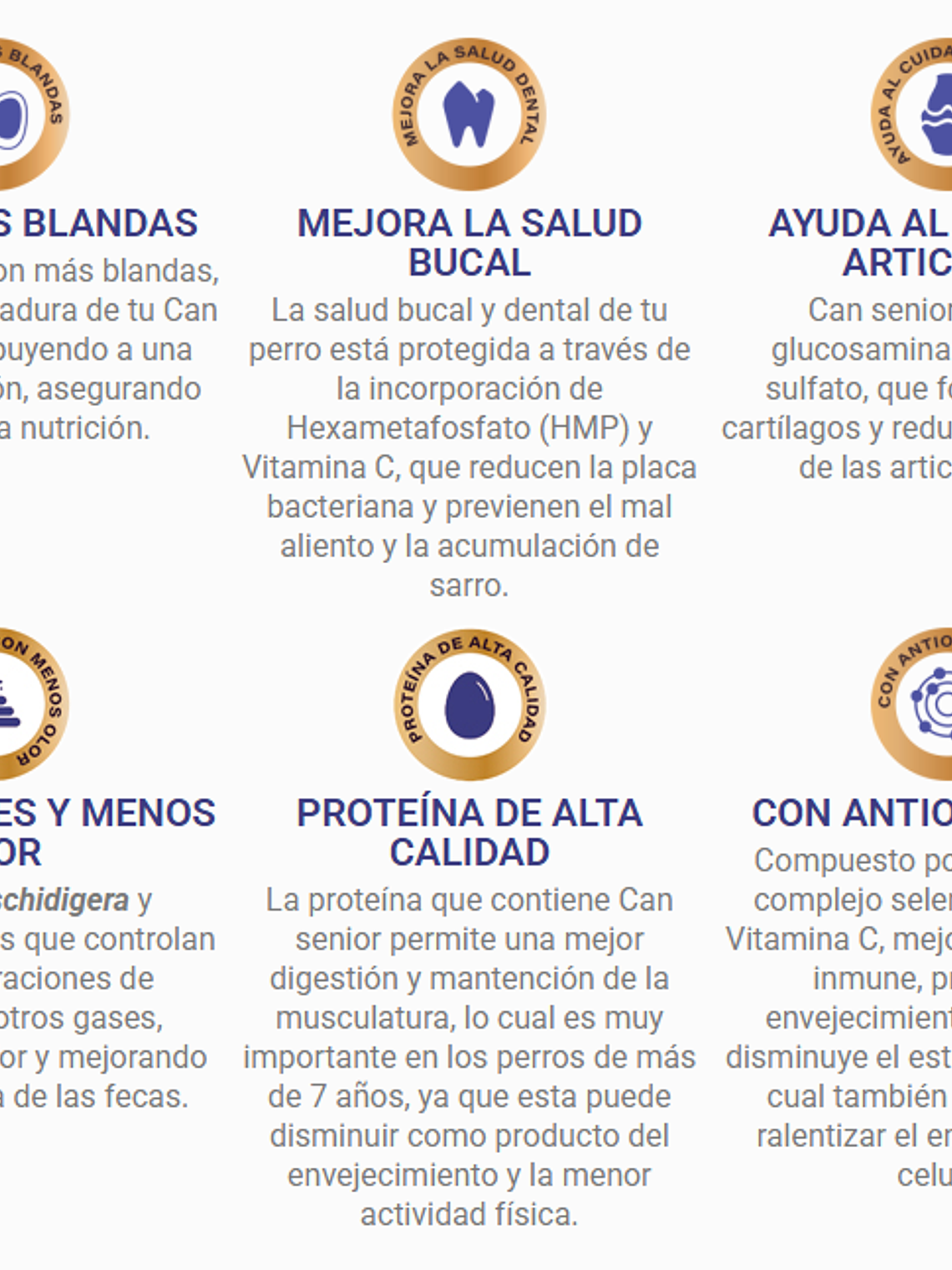 Can Senior Carne & Cereales 18 Kg 2