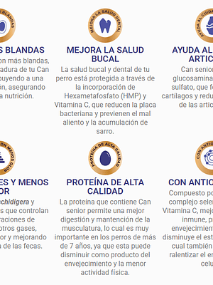 Can Senior Carne & Cereales 18 Kg