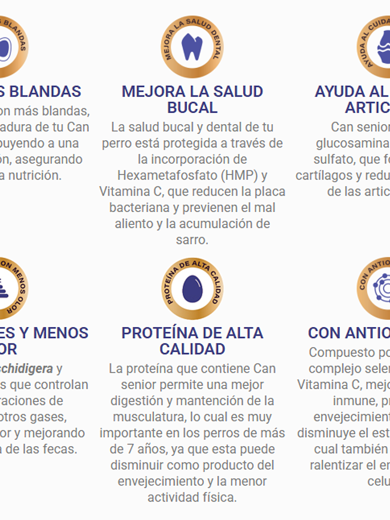 Can Senior Carne & Cereales 18 Kg 2