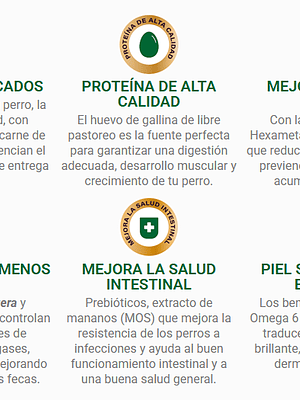 Can Adulto Razas Pequeñas Carne 18KG