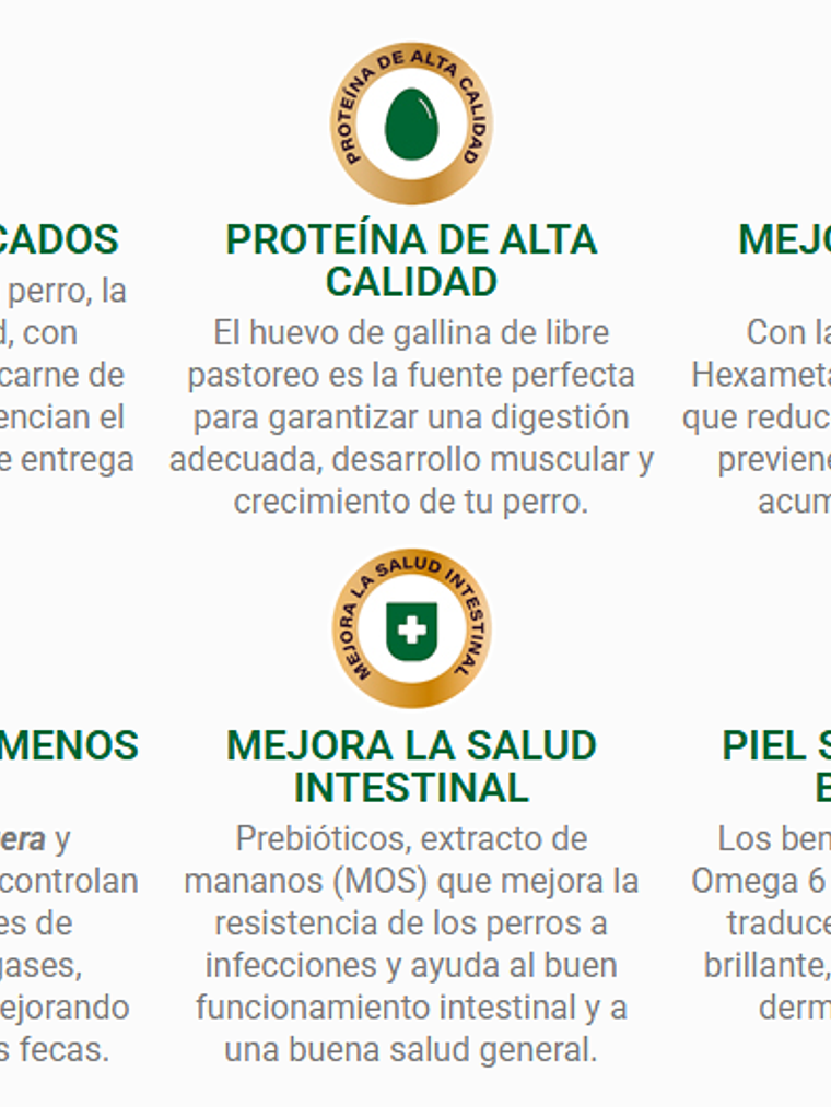 Can Adulto Razas Pequeñas Carne 18KG 2