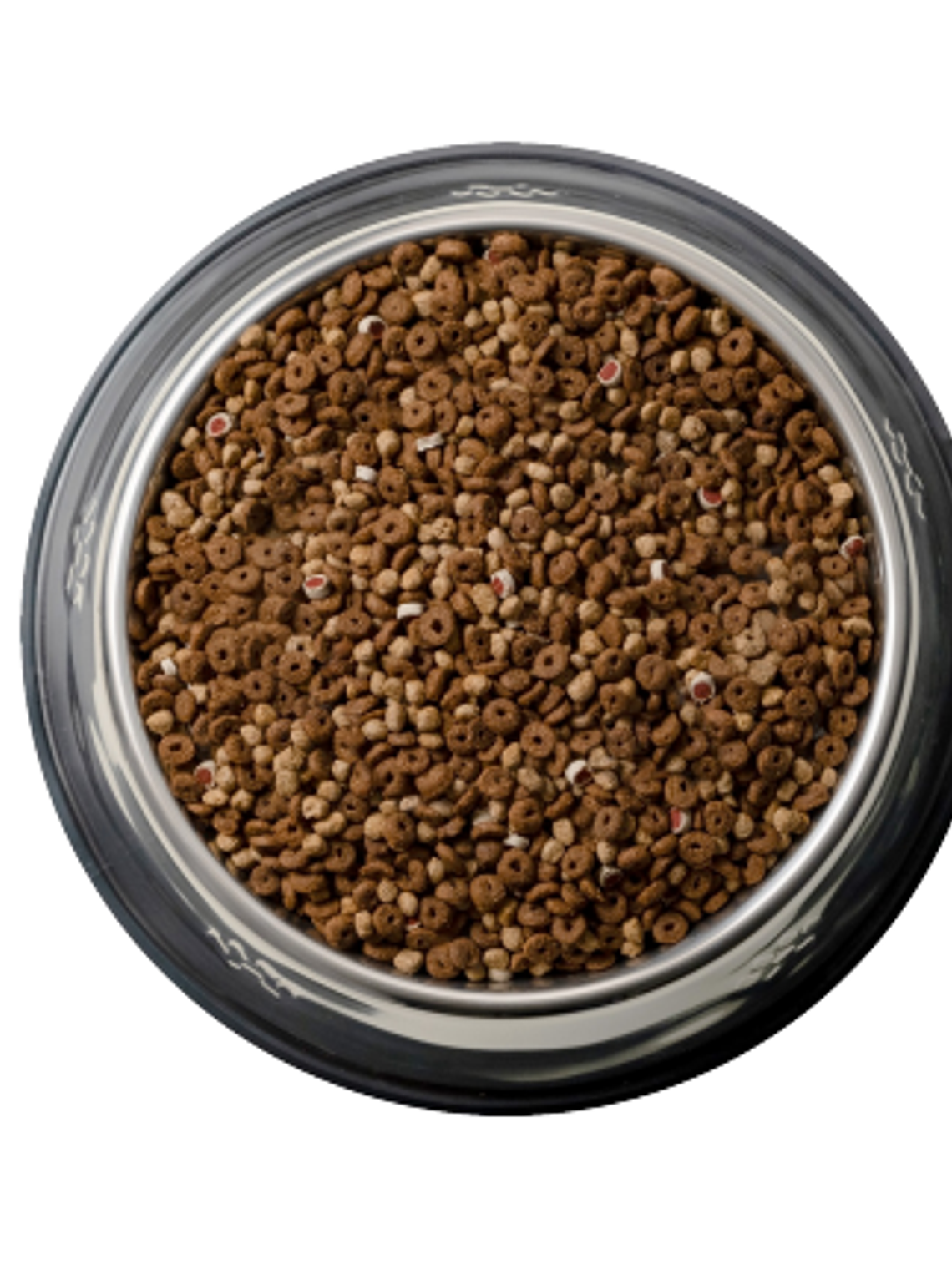 Can Adulto Razas Pequeñas Carne 18KG 3