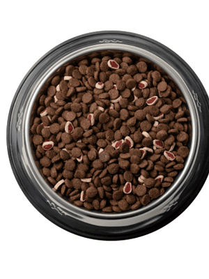 Can Adulto Carne y Cereales 18kg