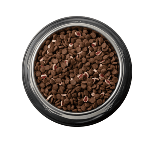 Can Adulto Carne y Cereales 18kg