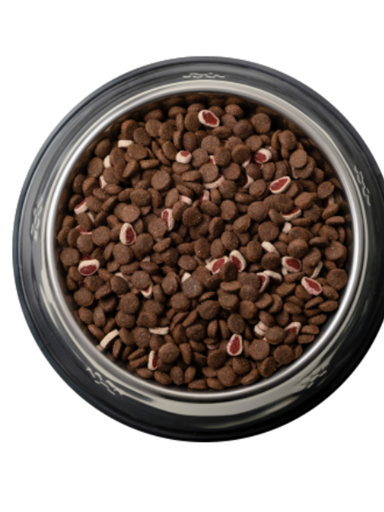 Can Adulto Carne y Cereales 18kg 2